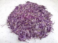 干し菊 (紫)