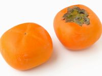 秋を代表する果物。柿のレシピ