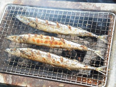 炭火で作る秋刀魚の塩焼き燻製