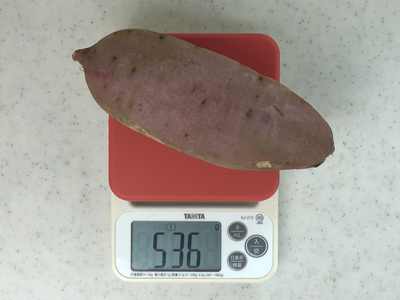 材料のサツマイモの重さを計っています。