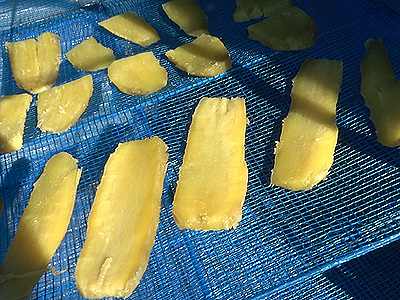 サツマイモを干し網で干しています