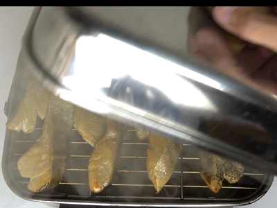 スモーカーの蓋を開けて塩たらの状態をチェックしています。