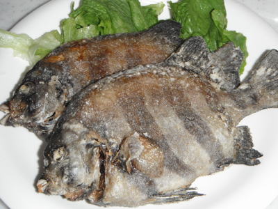 イシダイ 縞鯛 の塩焼きの作り方 つくる楽しみ